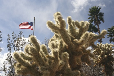 Lake Mead Visitor Center