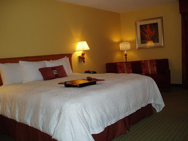 Hampton Inn  Tropicana